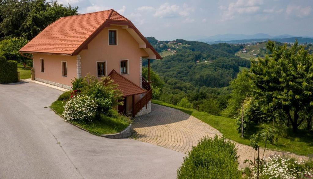 Апартаменти Planinca -Hisa Z Razgledom Smarje pri Jelsah Екстер'єр фото