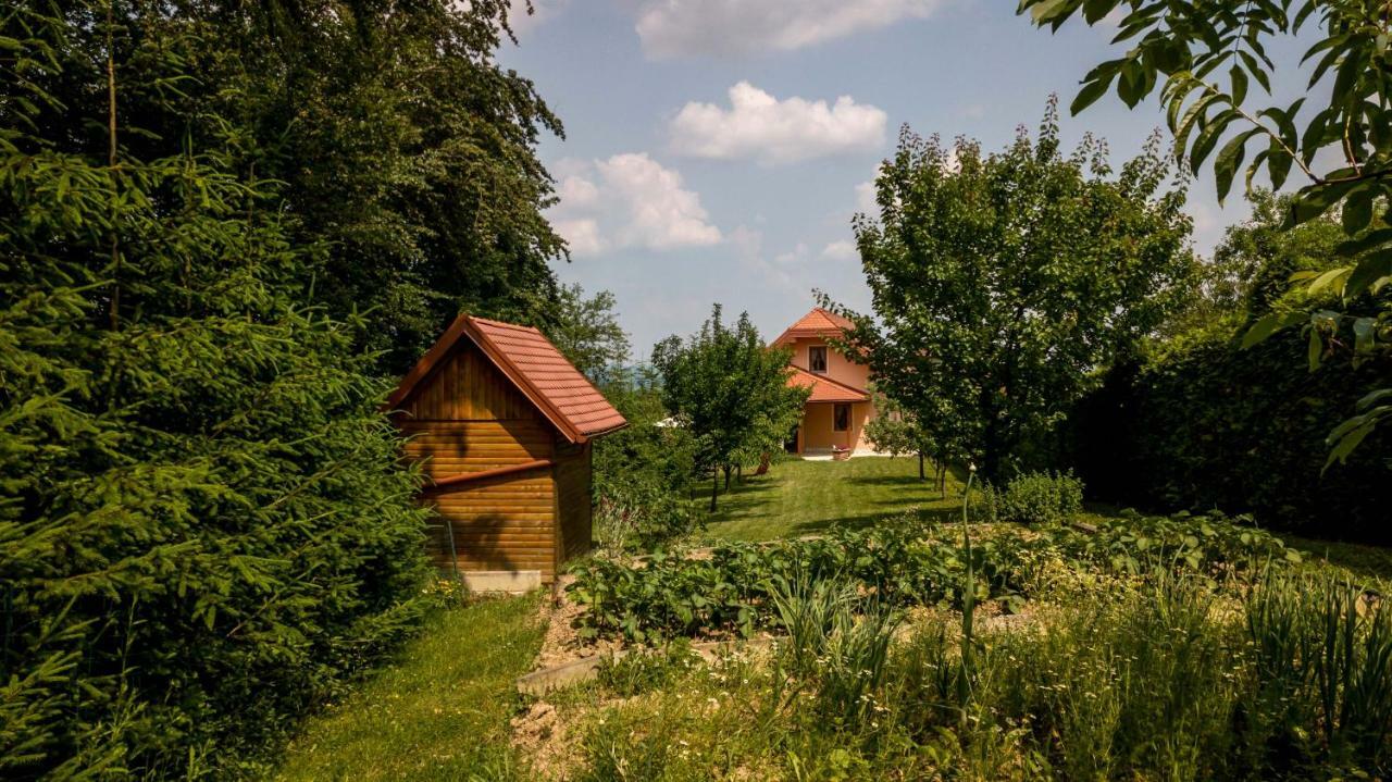 Апартаменти Planinca -Hisa Z Razgledom Smarje pri Jelsah Екстер'єр фото